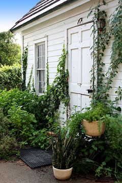 white garden shed