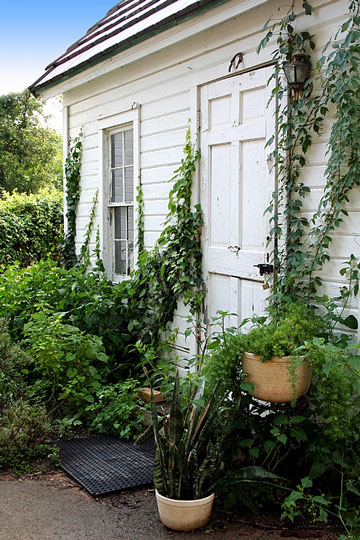 white garden shed